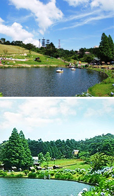 六甲山カンツリーハウスイメージ