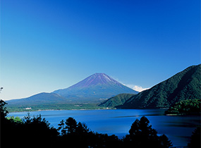 富士山の写真