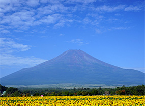 富士山の写真