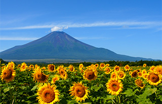 富士山の写真