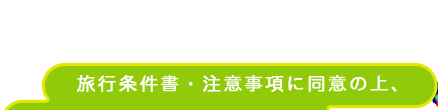 旅行条件書・注意事項に同意の上