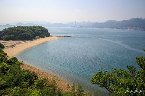 大久野島の海岸線